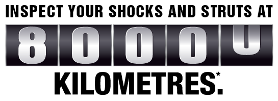 MONROE SHOCKS & STRUTS: 80,000 KILOMETRES