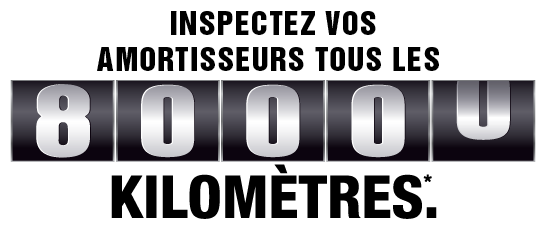 MONROE SHOCKS & STRUTS: 80,000 KILOMETRES